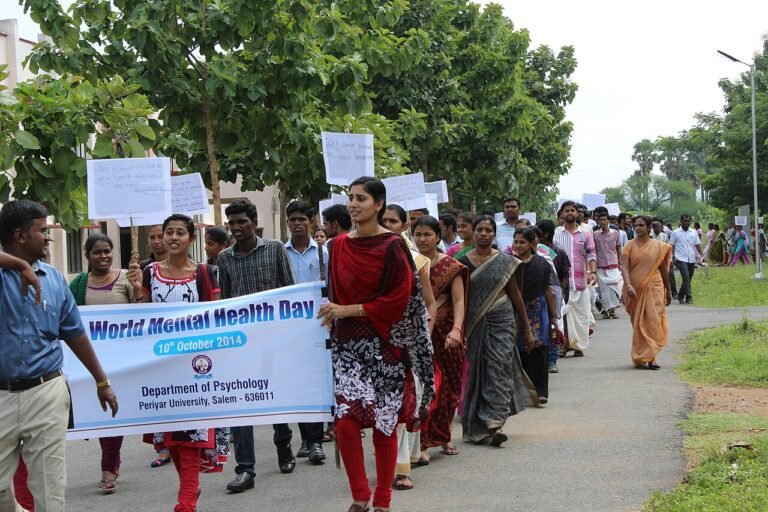 Mental_Health_Awareness_Rally,_2014